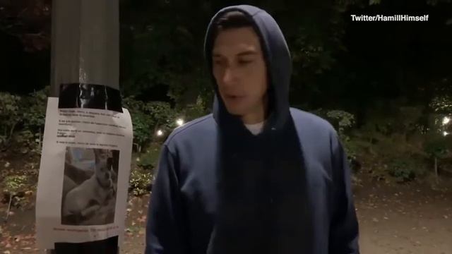 Video: Adam Driver reaches out to fans to help find director's dog смотреть онлайн