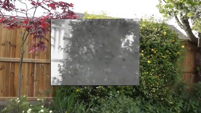 Daylight - Sony Nex 7 on handheld gimbal with inlaid thermal image смотреть онлайн