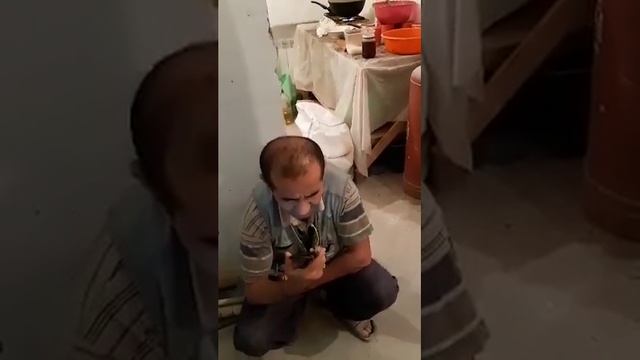 Алиса узбекча гапирди каналга обуна булинг ва ????? босинн смотреть онлайн