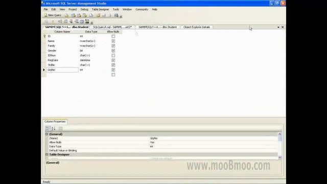 mooBmoo com SQLServer P029 смотреть онлайн