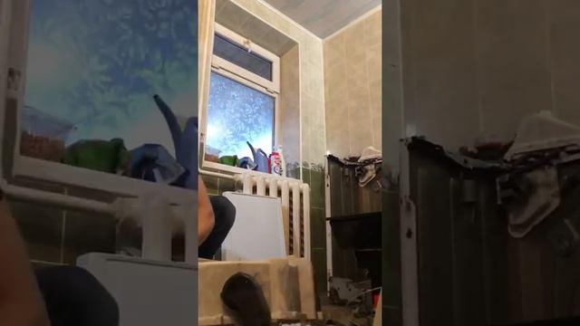 Замена подшипников на стиральной машине Bosch! смотреть онлайн