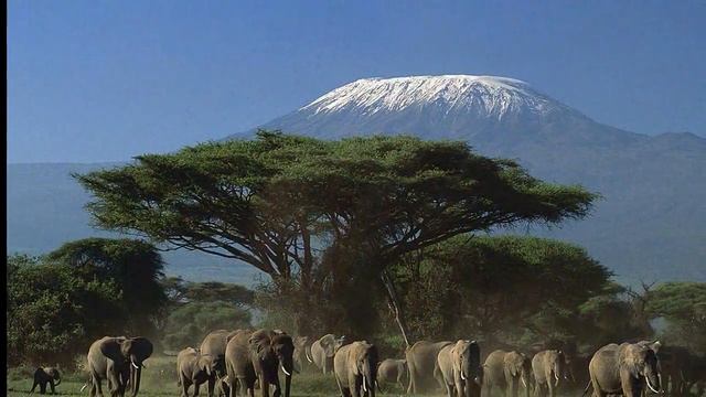 Национальный парк Найроби. Кения смотреть онлайн