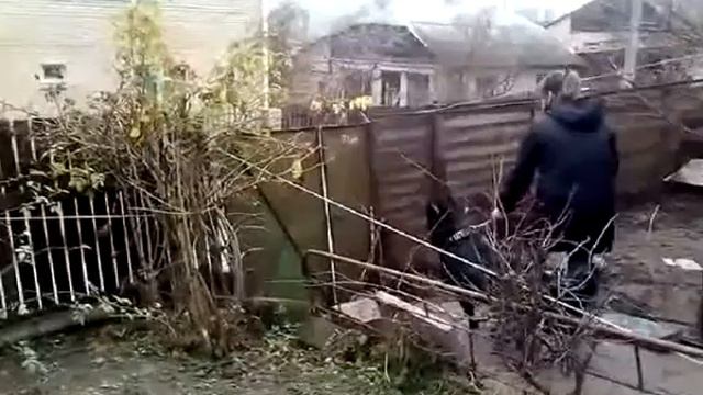 ШОС АРЕС в гостях у Урсы,Тая и Айны смотреть онлайн