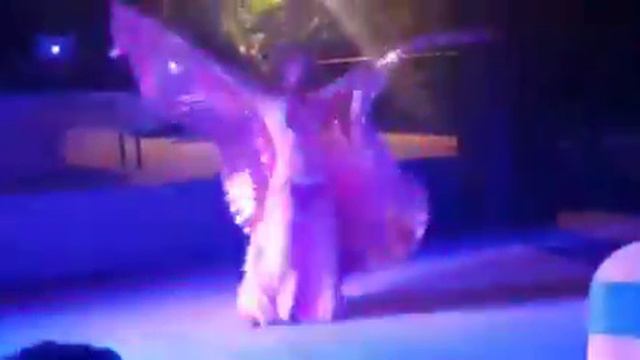 Julia Golden wings bellydance performance смотреть онлайн