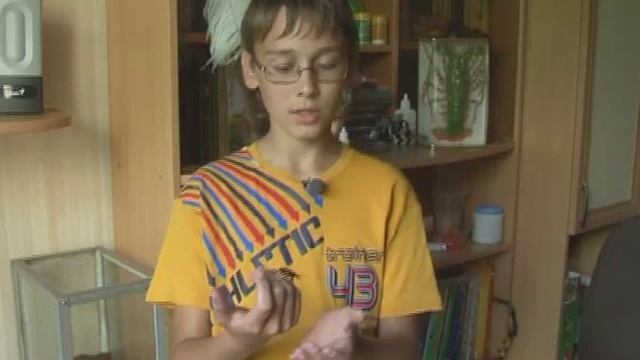 Дома у 13-летнего пензенца живут экзотические тараканы, пауки и геккон смотреть онлайн