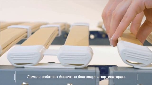Ортопедические основания Торис. смотреть онлайн