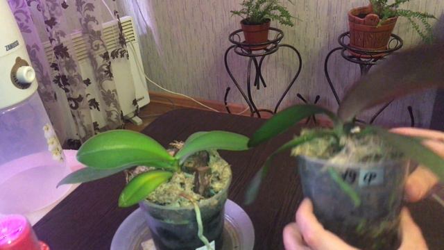 Итог выбора лучшего удобрения смотреть онлайн