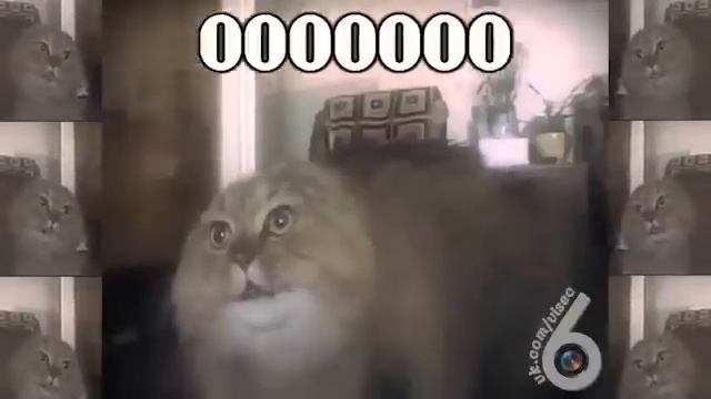 Оу ноу ноу ноу! 6 sec смотреть онлайн