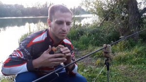 Сигнализаторы поклевки (карповые) электронные с пейджером и механические.Как ими пользоваться.