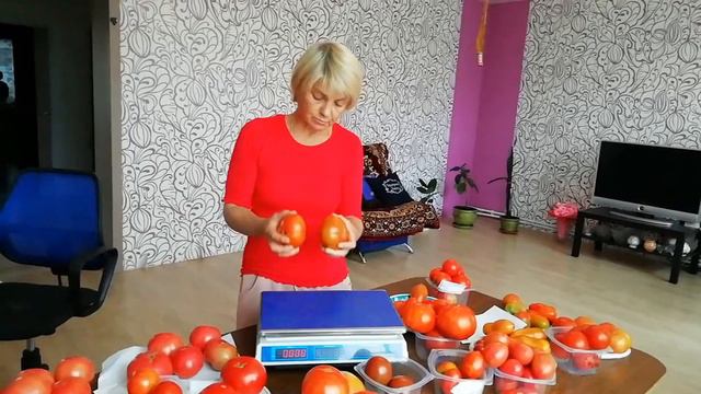 Описание тепличных томатов. Часть 2. Смотреть всем смотреть онлайн