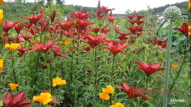 ВАЛЕНТИНА это ТЕБЕ смотреть онлайн