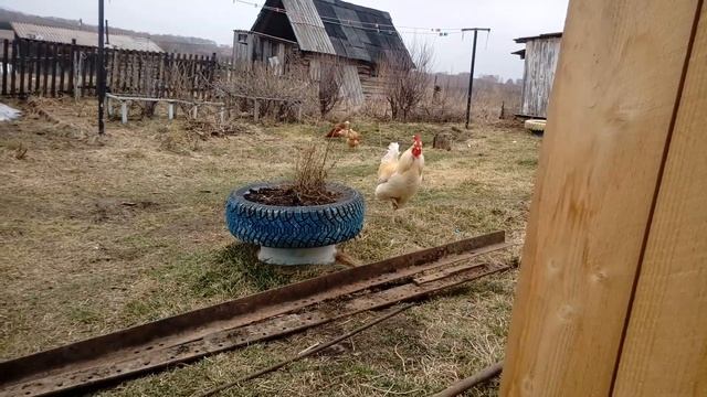 Рыбная Охота