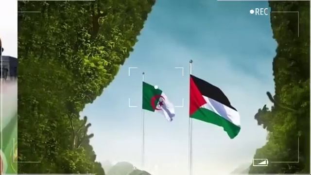 Algérie : Grave dérapage du Général Mahenna~ Un talent enflamme le conflit entre Belmadi et Regragu смотреть онлайн