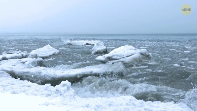 Нечто странное происходит каждую ночь в Антарктиде смотреть онлайн