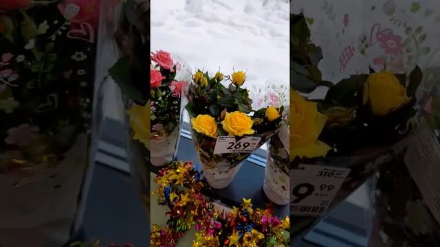 магазин пятёрочка.цветы розы,гиацинты смотреть онлайн