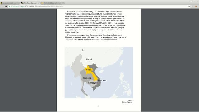 Bananacoin - изучаем WhitePaper проекта. (author Burmik123) смотреть онлайн
