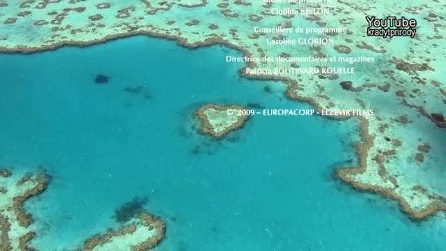 Документальный фильм «Дом» Яна Артюса-Бертрана и Люка Бессона
#планета#дикаяприрода #животныймир