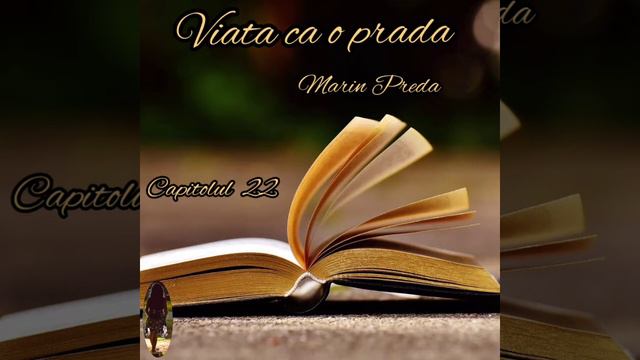 Viata ca o prada de Marin Preda - carte audio in limba romana смотреть онлайн