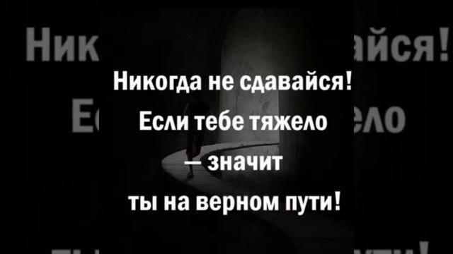 Цитаты и афоризмы про жизнь смотреть онлайн