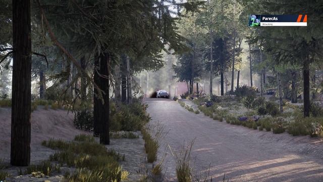 Rally Finland Pihilajakoski Ford Puma Rally1 смотреть онлайн