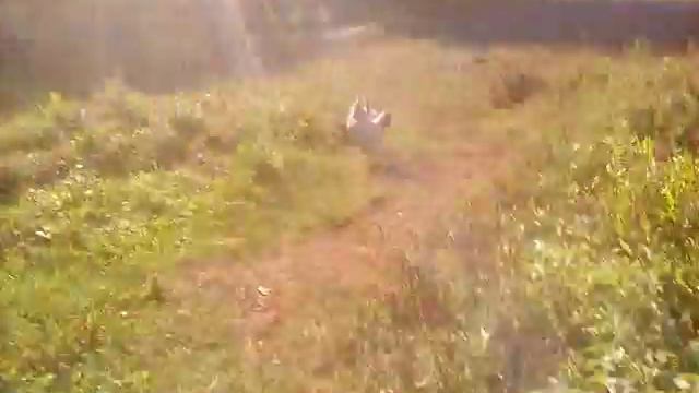 Яараслав Каналош смотреть онлайн