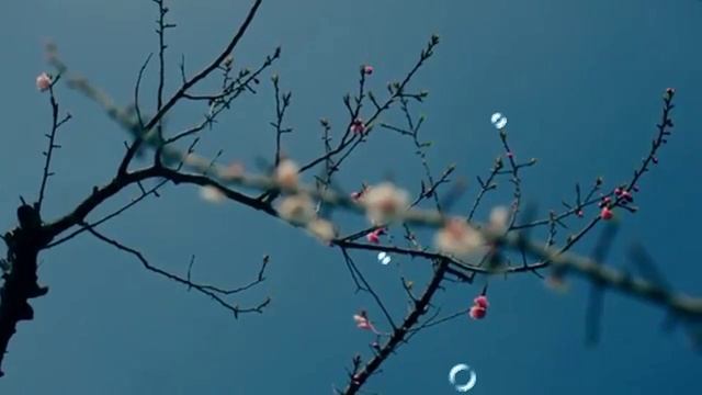 "Весенний джаз" смотреть онлайн