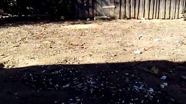как сделать простой но мощный самодельный лук смотреть онлайн