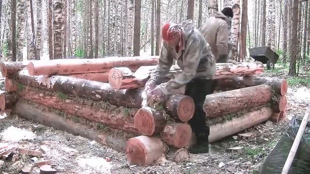Строительство лесной избушки по быстрому смотреть онлайн