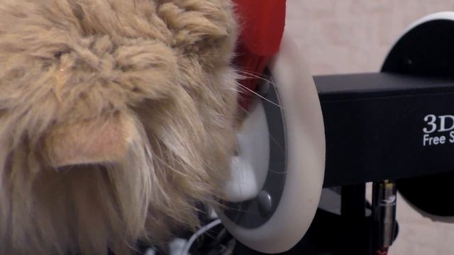 ASMR/АСМР/ 3Dio/ Кот лижет уши/sounds cat licking ears смотреть онлайн