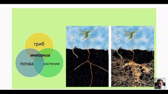 Экологический мониторинг почвы смотреть онлайн