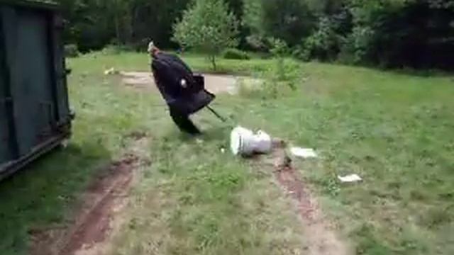 Хасид с "собакой" на поводке смотреть онлайн