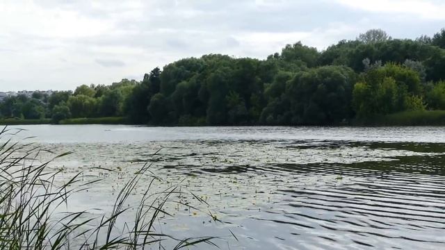 Обзор огромного катамарана Joysway US. 1 смотреть онлайн