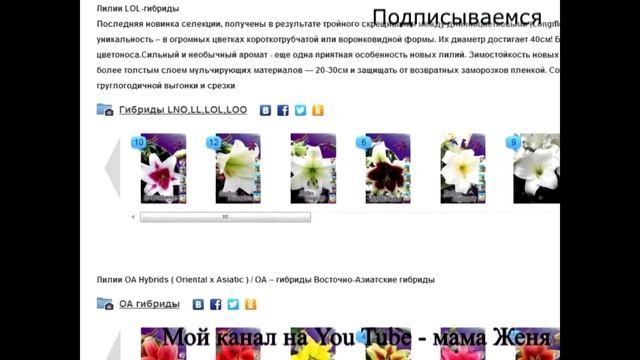 Отзыв: луковичные, корневища. Выбираем посадочный материал. Покупки для дачи на форуме СП. Март. смотреть онлайн