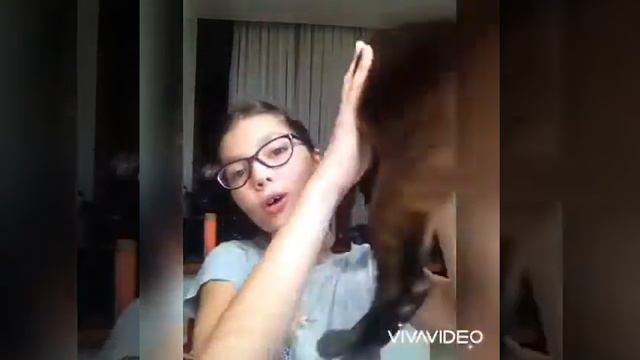 Бурманская кошечка смотреть онлайн