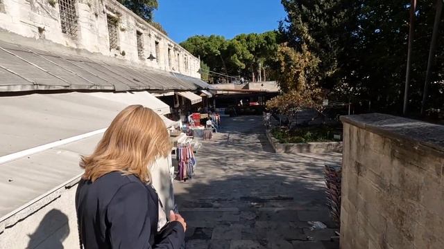 ISTANBUL, TURKEY (2022) | 24 Hours in Istanbul | Independence day |@TravelswithJoeEly смотреть онлайн