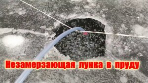 Лунка во льду не замёрзнет если ...