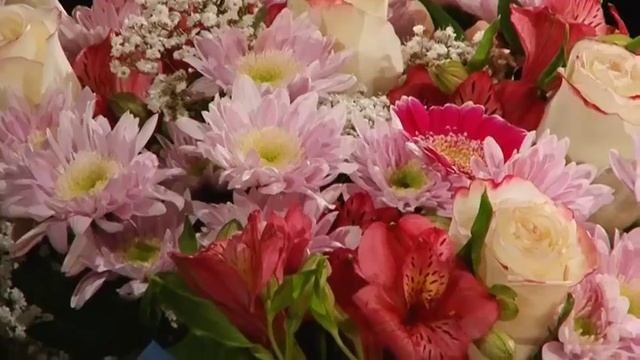 Конкурс Красный пиджак от Мэри Кэй смотреть онлайн