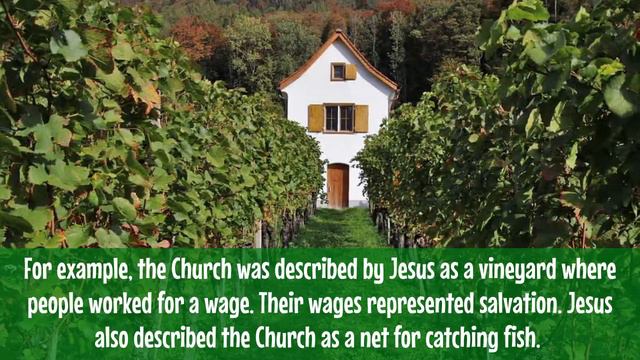 Religious Ed - Grade 8 - Catechism - Attributes of the Church - Lesson 1 смотреть онлайн