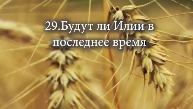 29 Будут ли Илии в последнее время смотреть онлайн