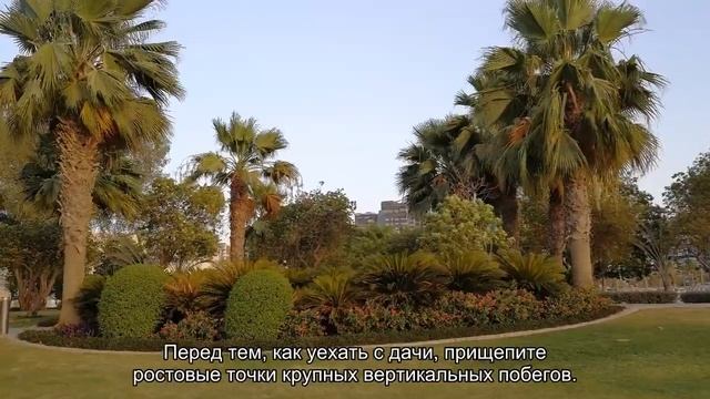 4 вещи, которые важно успеть сделать на даче до конца сезона смотреть онлайн
