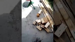 беседка за один день. Своими руками из подручных материалов