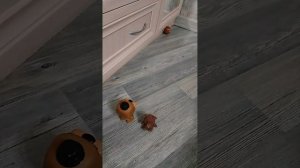 lv_0_20240310211150.mp4