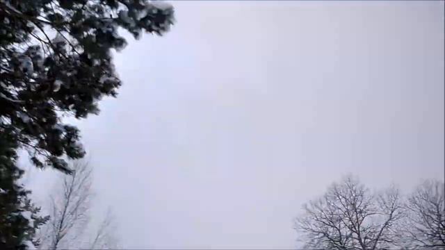 Гонки по снегу на Механике. смотреть онлайн