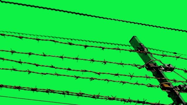 8 ФУТАЖЕЙ колючая проволока смотреть онлайн