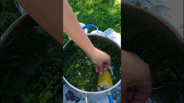 Жизнь в глухой деревне