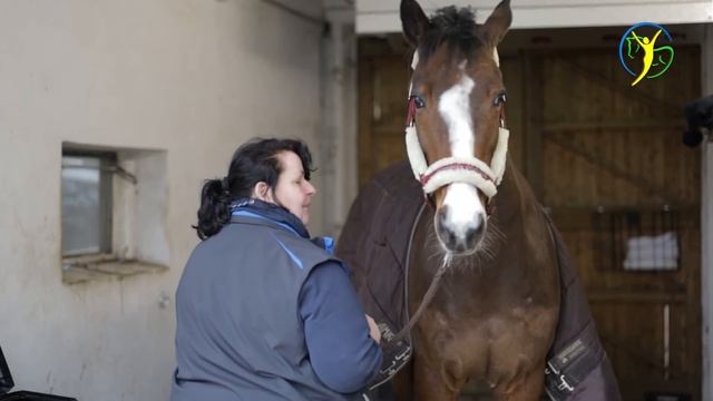 Zahnbefund bei Sito - Pferdedentistin Rabea Neubaum-Otte wird hinzugezogen смотреть онлайн