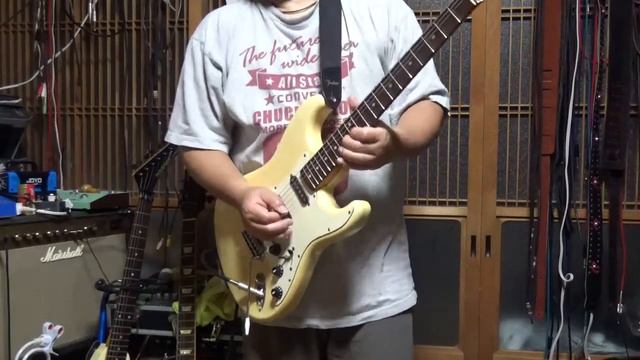 FederJapan ST72-65(SC)＆Ibanez Tubescreamer TS808+ SCHECTER Dragon Driver(EF-DD) смотреть онлайн