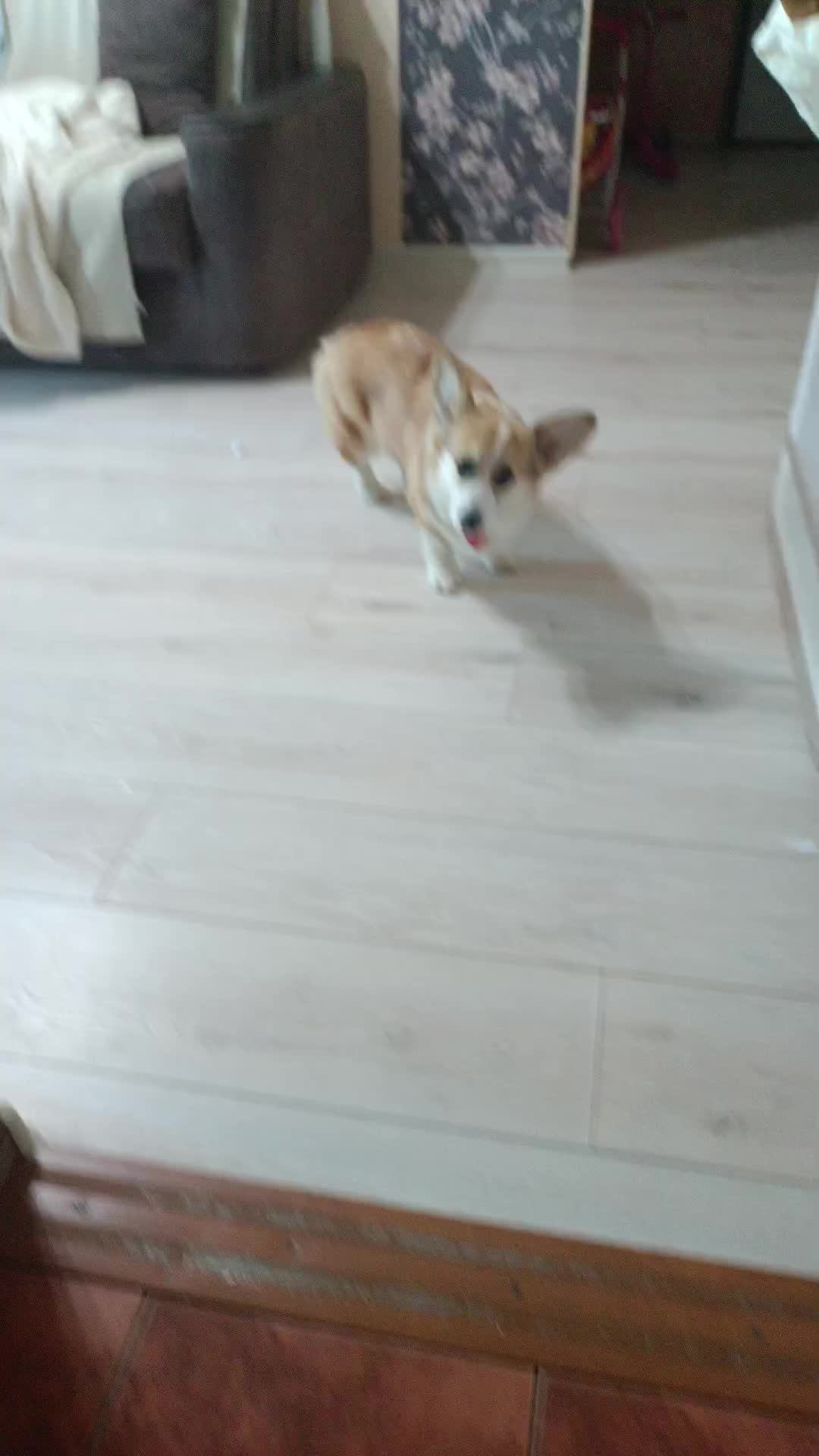 я смотреть онлайн