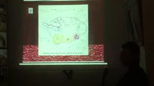 Анатомия и канализация смотреть онлайн