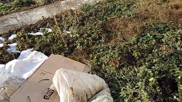 Укрытие винограда на улице 2018